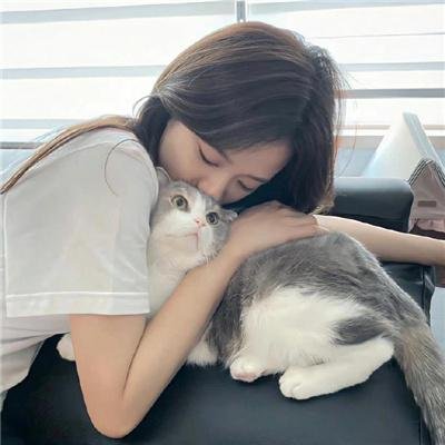 新蝶恋花
