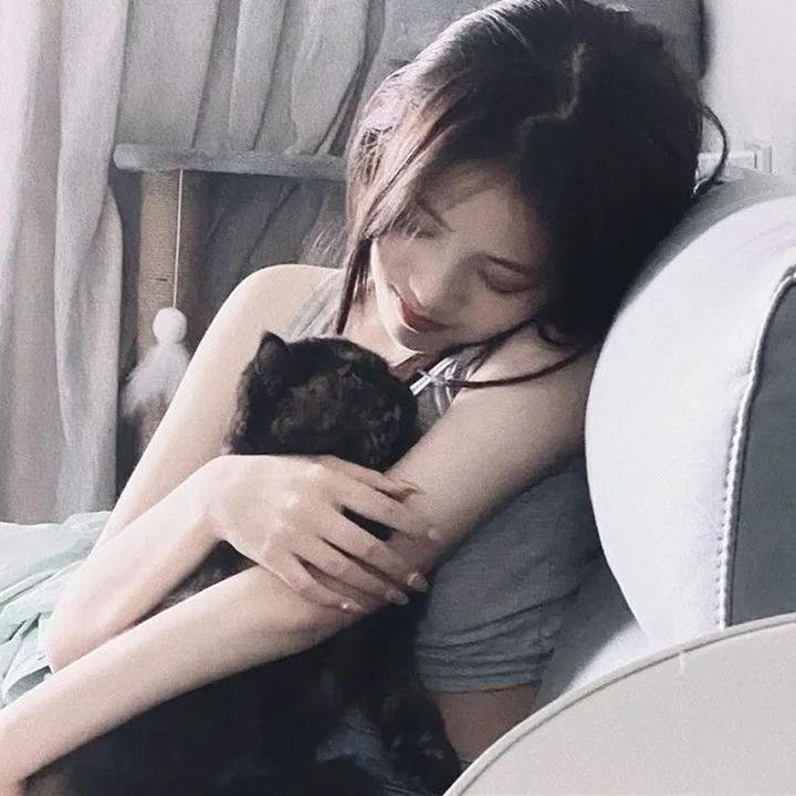 国家之死：帝汶阴谋