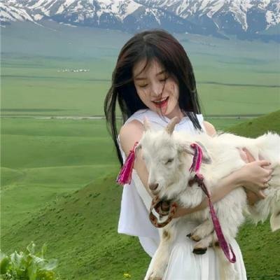 倒霉熊的杯子之旅